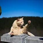 Сasa de vacaciones Andutza