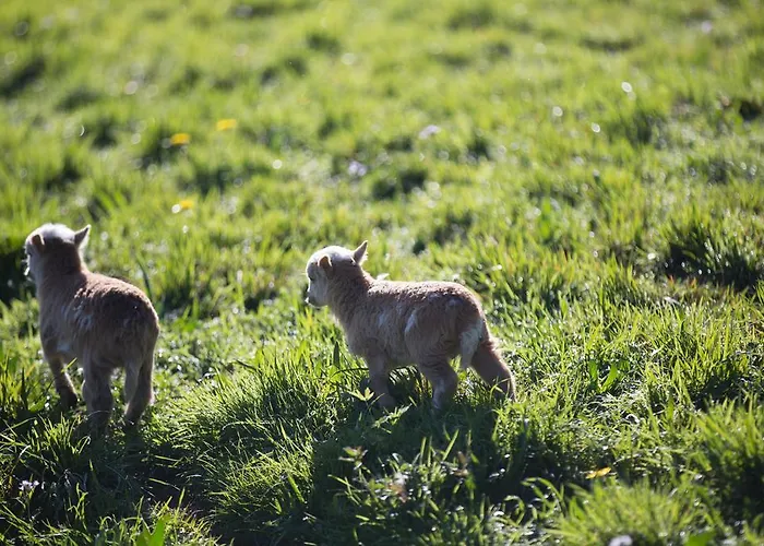 Сasa de vacaciones Andutza