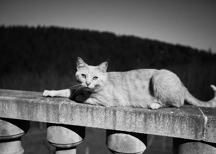 Сasa de vacaciones Andutza *