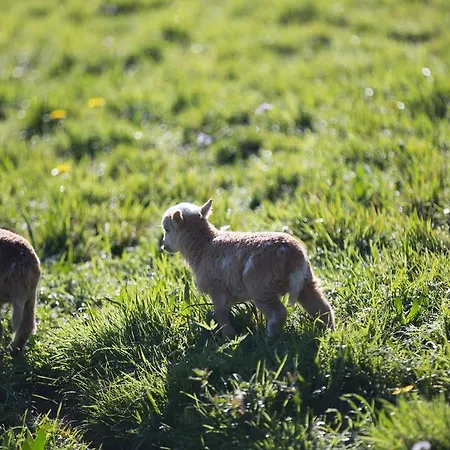 Holiday home Casa Rural Andutza