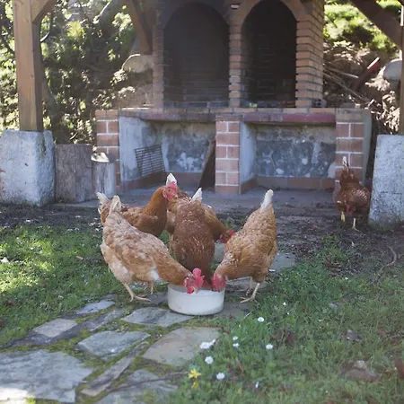 Casa Rural Andutza * Ea