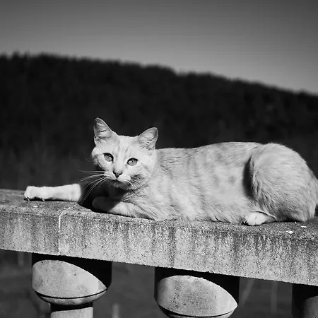 Holiday home Casa Rural Andutza *