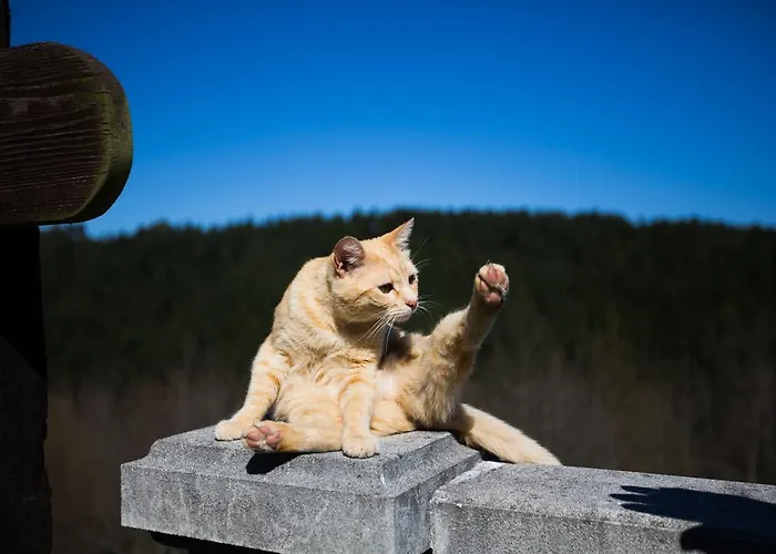 Holiday home Casa Rural Andutza